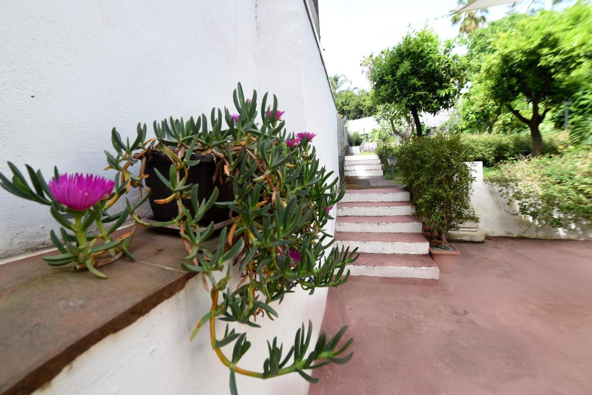 Casa Vacanze Borgata Del Sorbo Acireale Exteriör bild